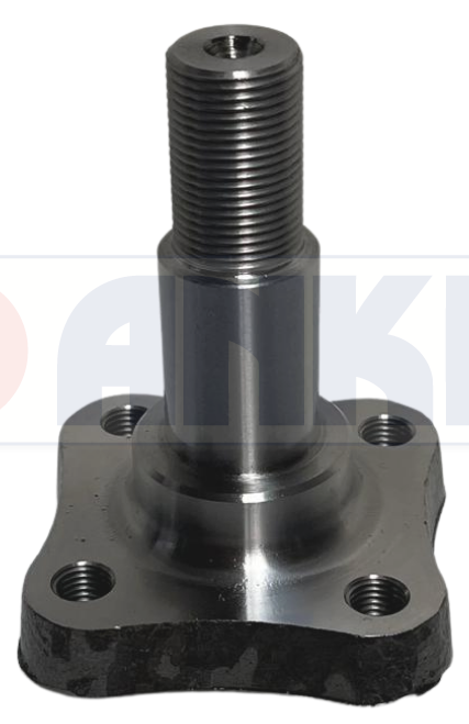Rear Axle Carrier