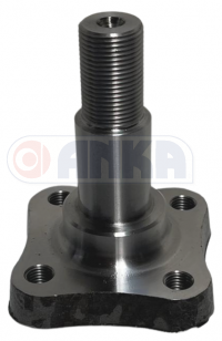 Rear Axle Carrier