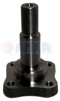 Rear Axle Carrier